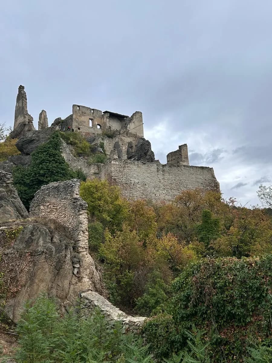 Ruins of Dürnstein Castle on a wooded hillside above the Danube